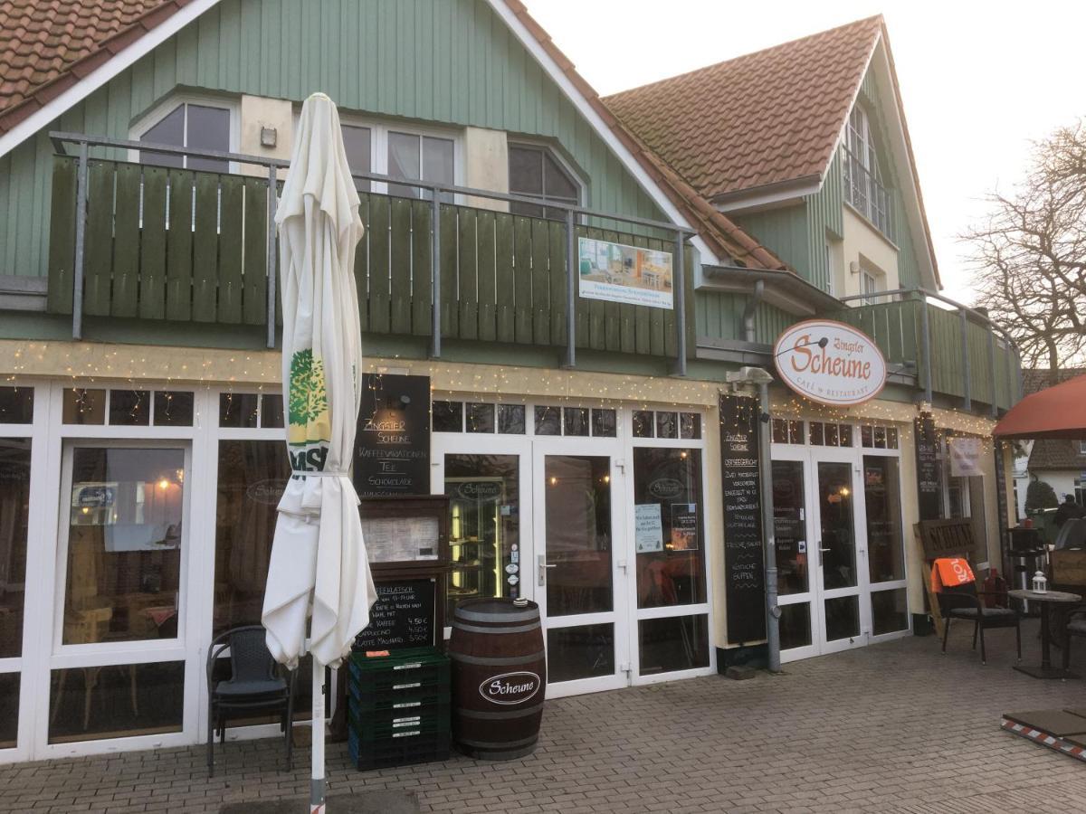 Villa Doppelhaushaelfte Birkenstrasse 5E Zingst Exterior foto