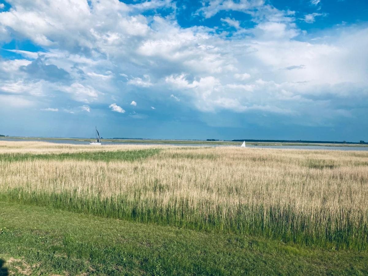 Villa Doppelhaushaelfte Birkenstrasse 5E Zingst Exterior foto